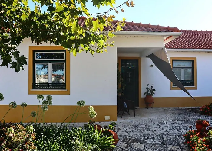 Casa Robusto