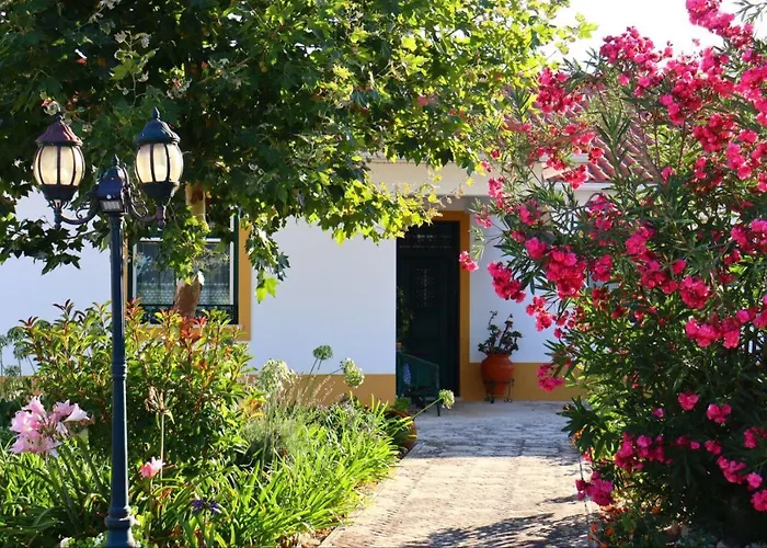 Casa Robusto