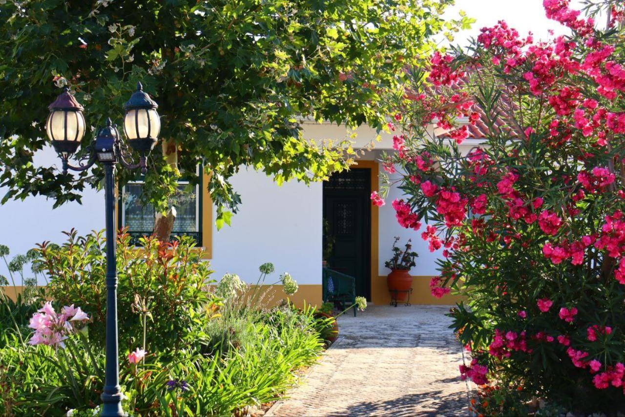 Casa Robusto *